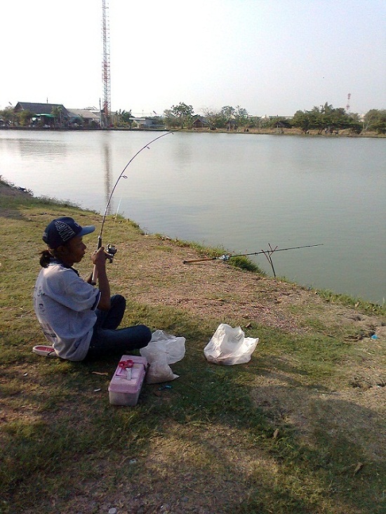 พล ปลาเกล็ด นายเดียว รบกับปลานิลต่อ