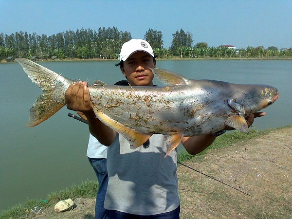 ของผมมาอีก :grin: