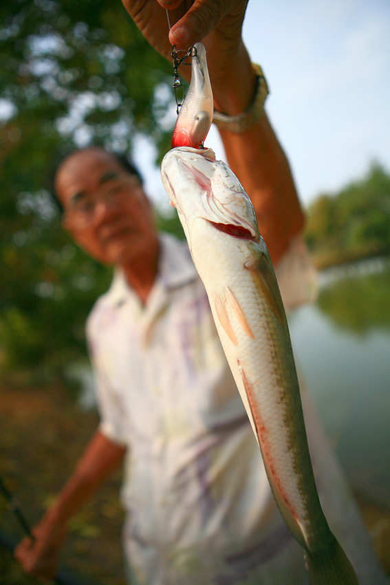 [q]ขอบคุณน้า fisherbackrod ด้วยครับ[/q]
[q]สวัสดีครับน้า โตโต้มาเฟีย  :laughing: :laughing: :laughi