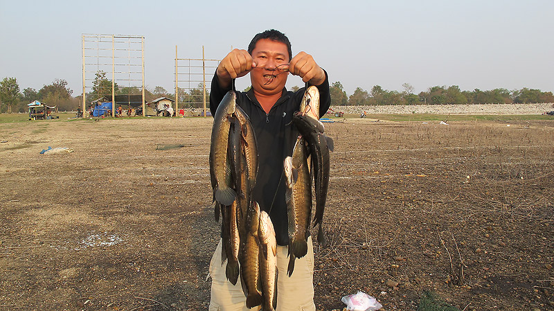 ปลารวม รึว่า ปลาเป็นพวง :laughing: :laughing: :laughing:
