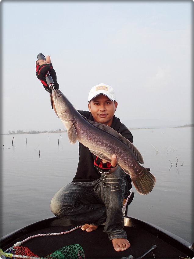 

....... :smile:........แหล่มอีกแล้วเราตัวนี้ของผมไม้เดียวโดนเลยครับ....... :cheer:.......