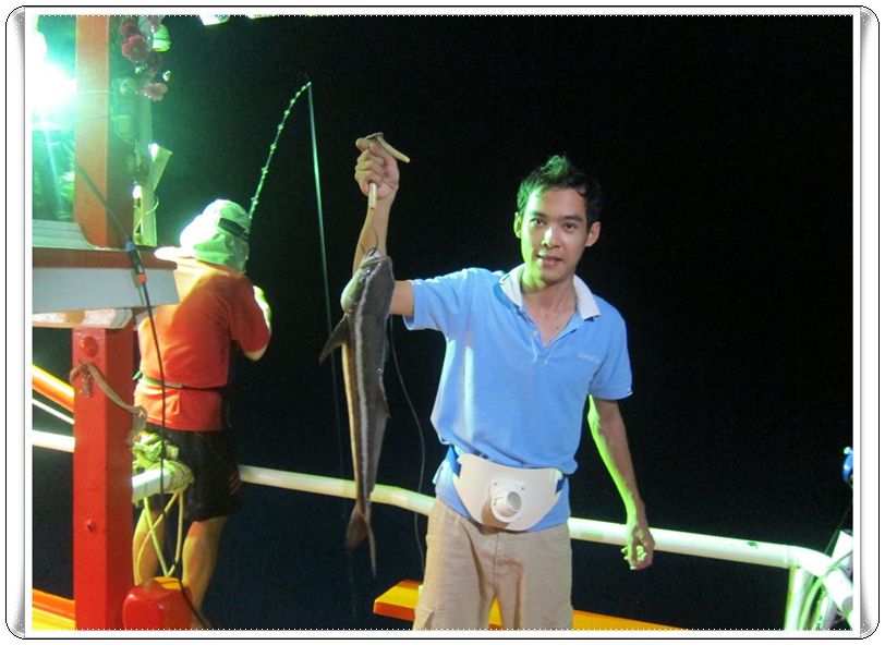                   เสือน้อยกับไก่อ่อนแม่ปลาช่อน

[q][i]อ้างถึง: คนเกาะพลวย  posted: 15-02-2554, 21: