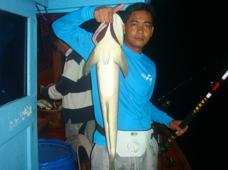 ขอหล่อหน่อย........ช่อนเลตัวแรก  ออกเลหลายครั้ง  ยังไม่เคยได้ตัว..........