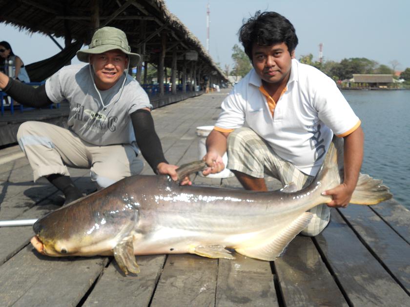 ใหญ่สุดสุด