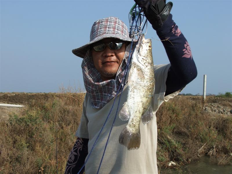 จัดไปอีกรูปครับ น้าวิช  :cool: :cool: :cool: :cool: :cool: