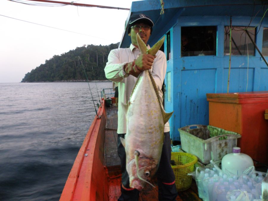 คุณเบิร์ดที่ดินยะลาตกได้แชกำยักษ์ที่ล่องลาวี