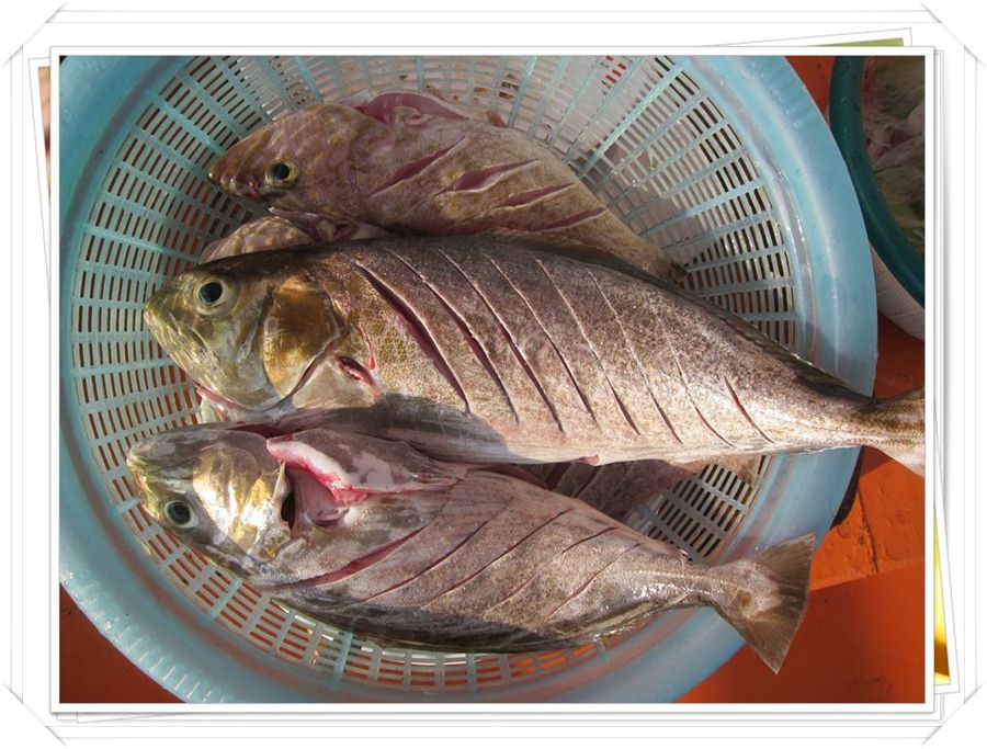              ปลาสำลีทอดราดพริก :umh: :umh: :umh: