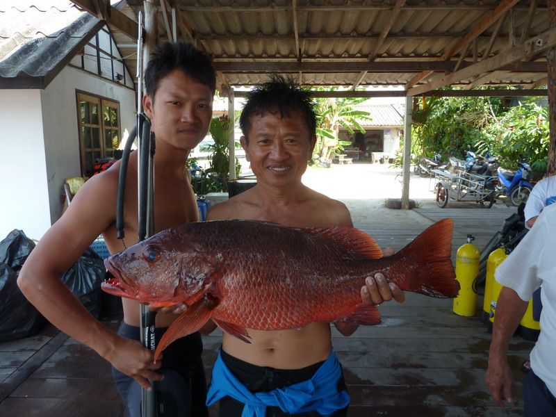 ลากันด้วยภาพนี้ครับผม  :laughing: :cool: :laughing: