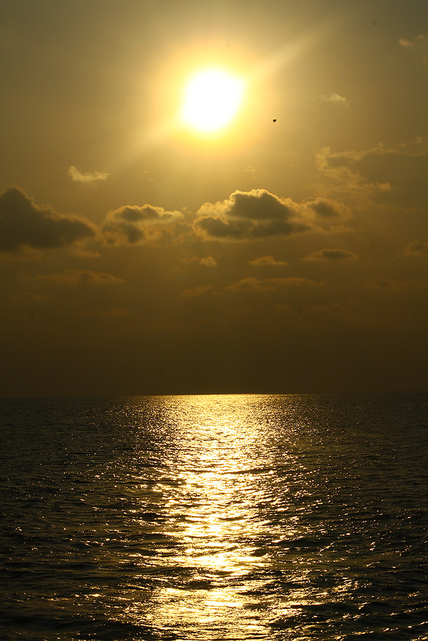แสงสวยคลื่นลมสงบเหมะแก่การตกปลาอย่างมาก :cheer: :cheer: