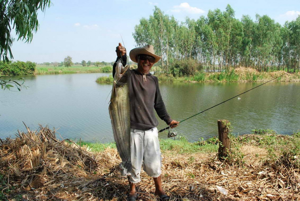 ผมกับหลานลงเรือแจวหากันแทบตายปลาดันมากินเบ็ดที่ยืนตีอยู่ริมฝั่งดูเอาเถิดครับ คนเราดังภาษิตอีสานว่า ค