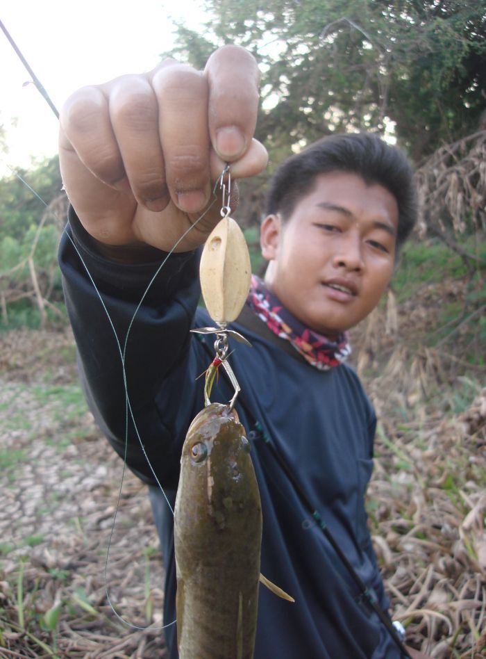 เบ็ดตัวเดียวความพิเศษเวลาปลาเข้าก