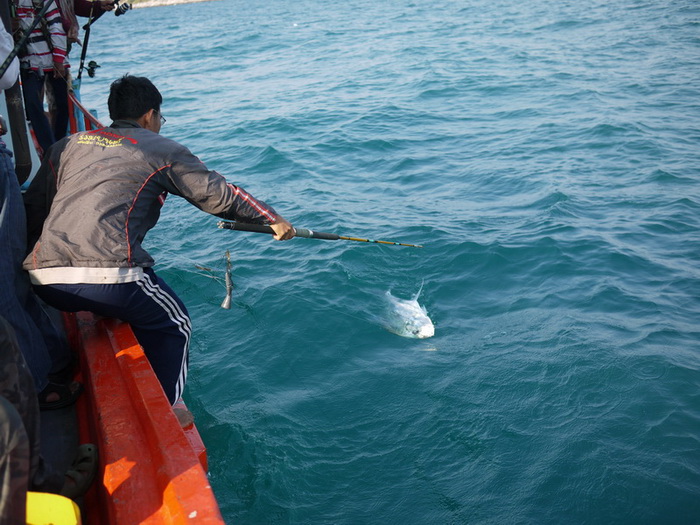 โชว์ตัวขึ้นมาแล้ว น้าๆๆทั้งลำเรือต