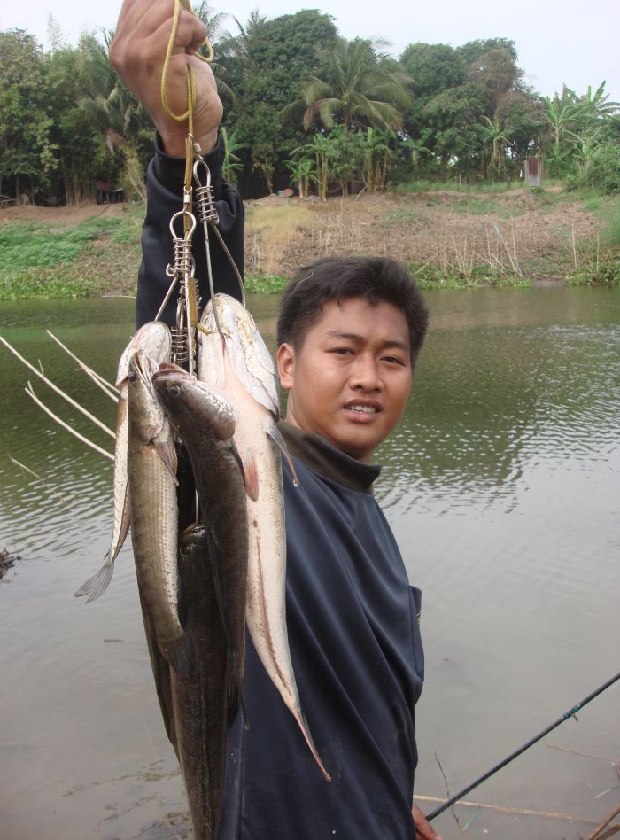 ปลาที่ได้ยามเช้าครับ :smile: