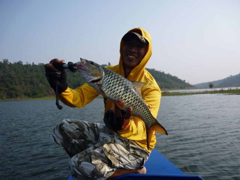  :cool: :cool: :cool: :cool:

หวัดดีครับ น้าPivefishing 

หวัด
