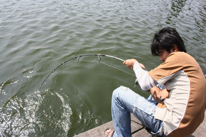 [q][i]อ้างถึง: ระบบผ่อน posted: 22-02-2554, 16:45:11[/i]

[q][i]อ้างถึง: noch posted: 22-02-2554, 