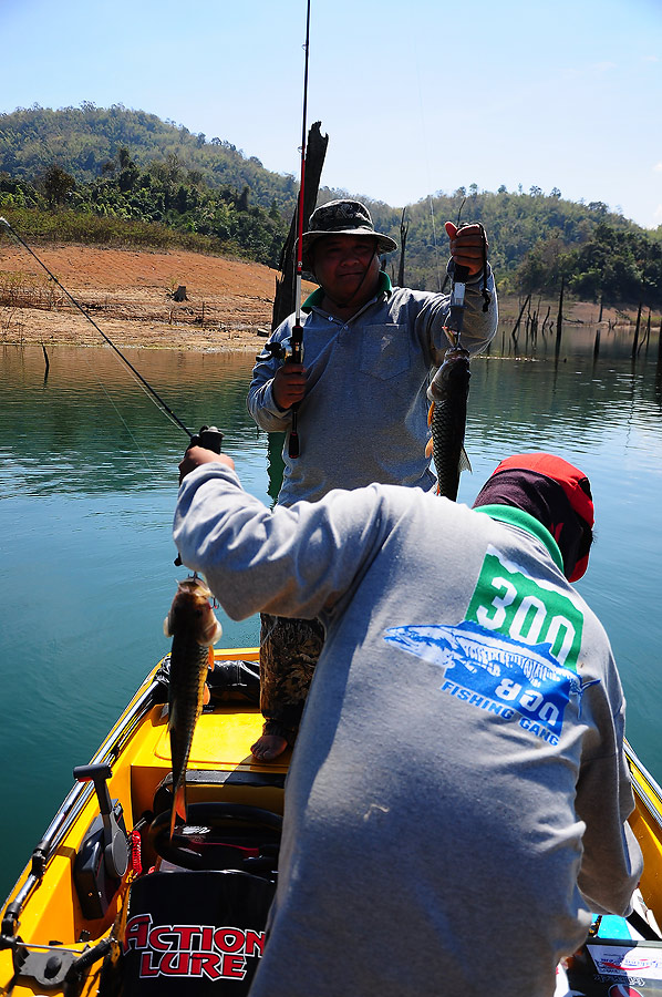 รอเจ้าต่ายวิ่งเอาแบตใหม่มาให้ พอเรือเรียบร้อยผมมาไกด์หัวเรือแทน ปลาขึ้นหลังเรือ เห็นตัวใหญ่ๆแบบนี้ไม