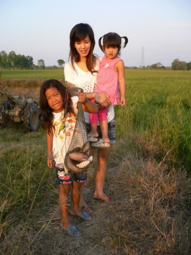 ผบ.ทบ. กับลูกและหลานสาวครับ

 :grin: