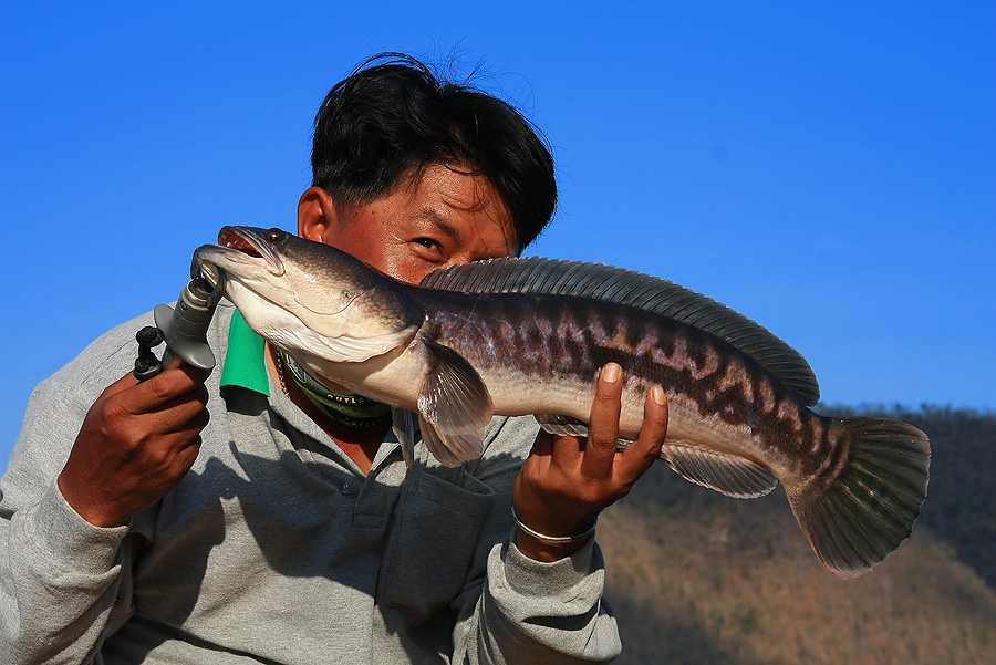 หมั่นใส้อ้ะ เพ่โปรโม่ง 
 :laughing: :laughing: :laughing: