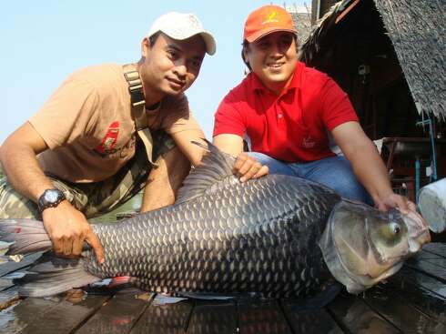 300 ป ล า ห รื อ ค น ค๊ า บ บ บ  :laughing: