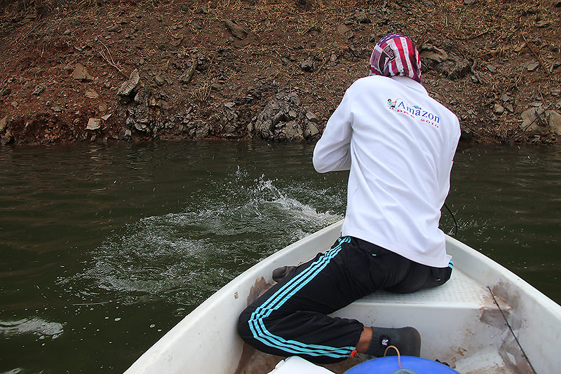 

เอาโดดอีกแว้ว  จะถ่ายรูป  ไม่มาโดดข้างเรืออะ  ปลาบ้า     :laughing: