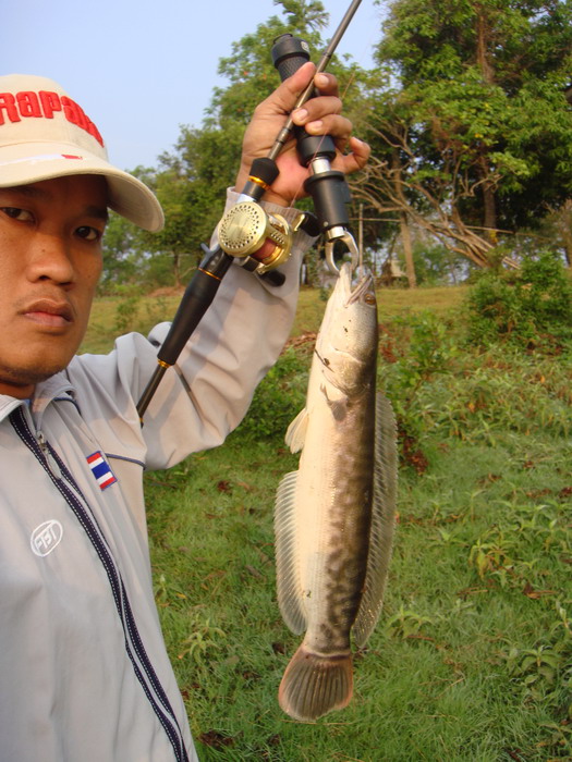 รูปปิดท้ายครับเย็นแล้วกลับบ้านไปเจริญอาหารก่อน :laughing: :laughing:
 :cheer: :cheer: :cheer: :chee