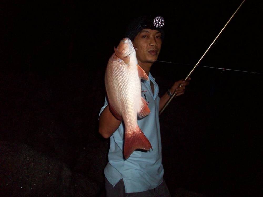 ขึ้นมาเป็น...น้องจ๊วดแดงไซต์งามม... โอ้ว..น่าต้มยำมาก.. :umh: