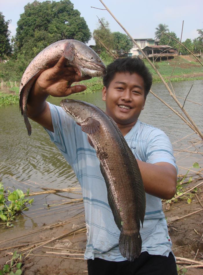 ช่อนแม่น้ำที่เราอยากจะเจอวันนี้สมใจแล้วครับ :love: :kiss: :grin: