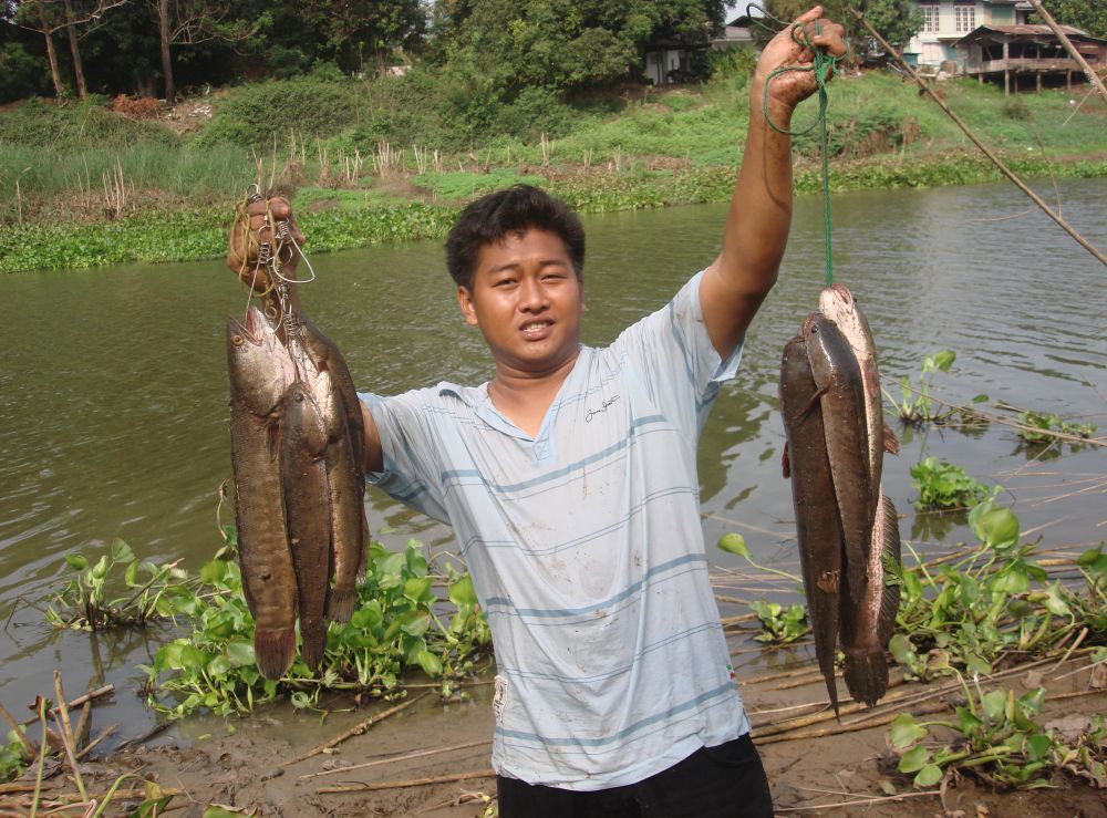 คนละพวงคนละฝั่ง ของนิวพวงเขียว ของผมพวงเหลือง :grin: