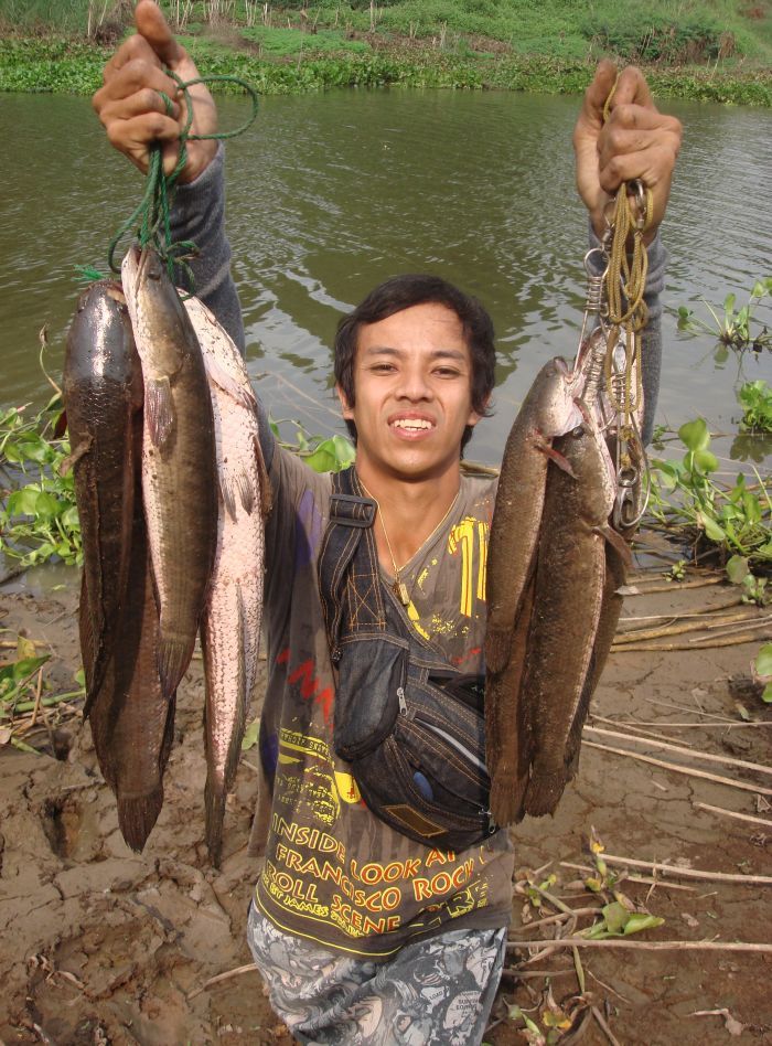 คนละพวงคนละฝั่งยามเช้า :grin: