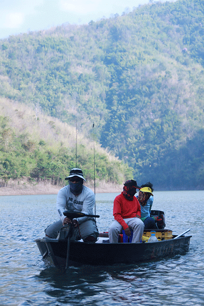 [b]   เรือน้าป้อม , ปาย , ลูกน้าป้อม[/b]

     :grin: :grin: :grin: