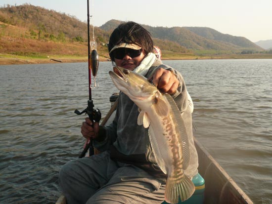 หลังจากพี่เก่งได้ตัวนี้ ผมก็โดนกัดติดตลิ่ง แต่ขาดไป สายหน้า mono 60 ปอร์น เซ็งเป็ดเลย :grin: :laughi