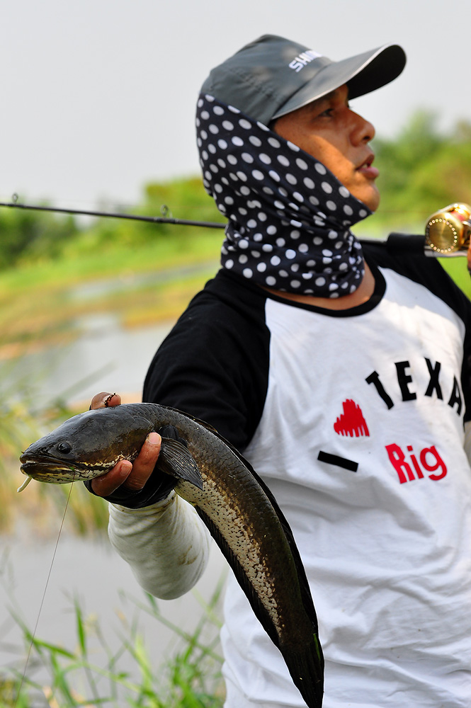 [q][i]อ้างถึง: nu_street posted: 25-02-2554, 22:12:06[/i]

ขาด หลุด 
