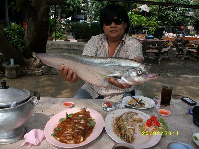 พี่โต้งมานั่งกินข้าวเที่ยงด้วย อร่อยจริงๆปลาเบี้ยว ปลาแดง วันนี้ใช้เวลาไม่นานนะครับ 7.30น-11.00น เพร
