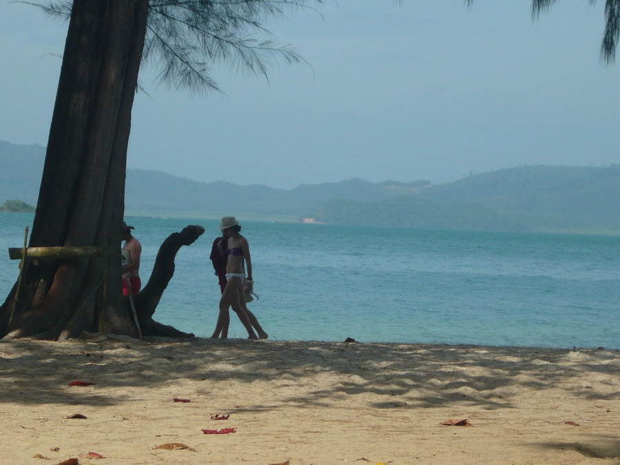 ระหว่างรอเรือก็ถ่ายภาพต้นไม้บ้าง