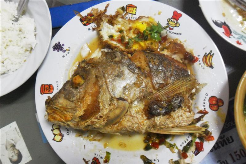 +++กลับมาถึงร้านผม ก็เอาปลาให้ร้านข้