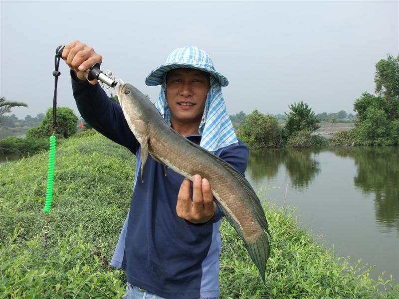 [b]ถอยห่าง น้าโม่ง มานิดนึง อีน้าต้น ได้ปลาขึ้นมาพอดีเลย [/b]
:cool: :cool: :cool: :cool: :cool: :c