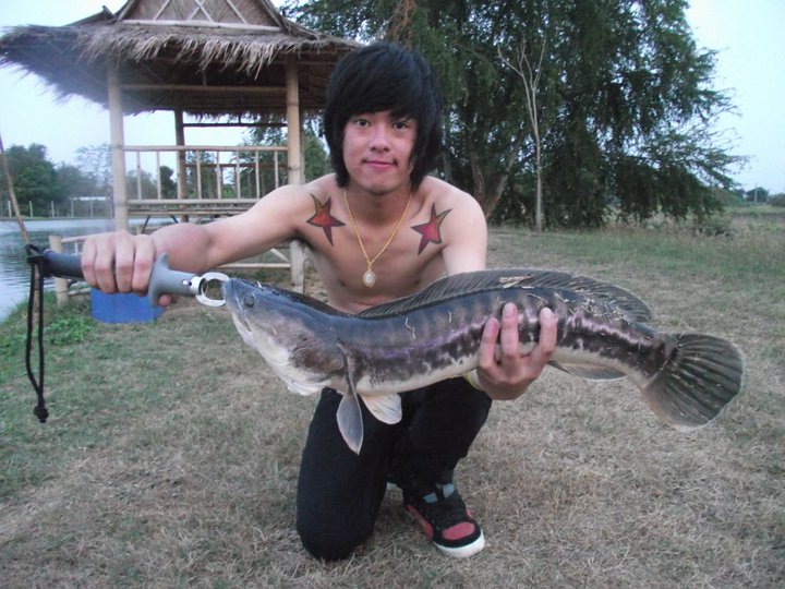 ขอลากันด้วยภาพนี้เรยนะคร๊าบ วันเสา