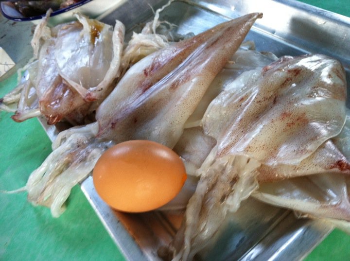 หมึกไข่ครับ