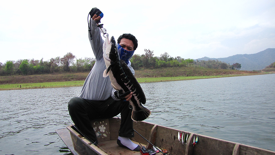 
    อ้าว.........ปลายืม  แต่ดูแล้วหล่อดี  :cool: :grin: :grin: