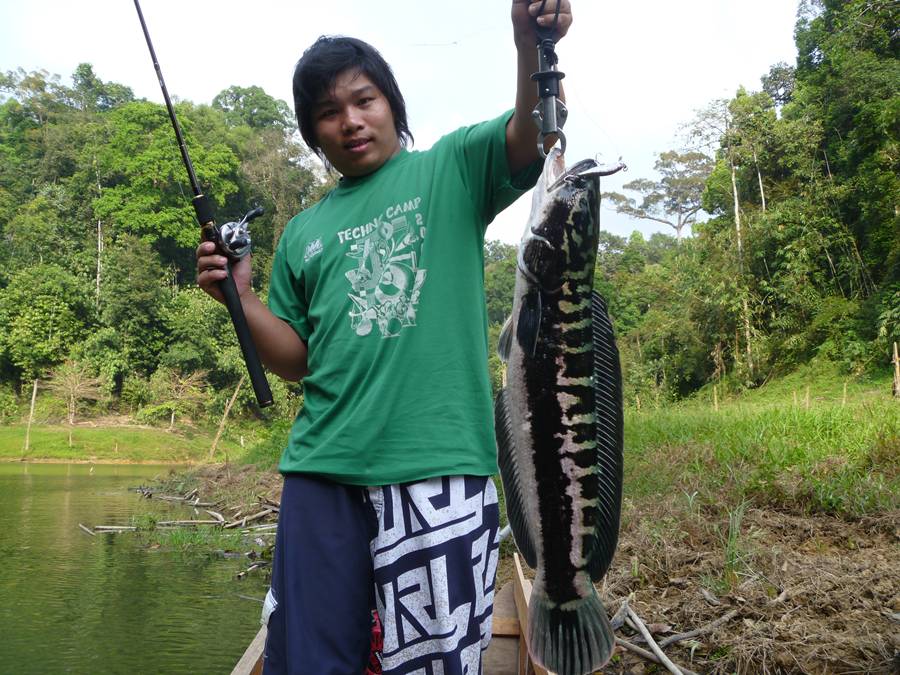[b]ตัวนี้รับประทาน Zipbaits เข้าไปเต็มๆ สงสัยจะเบื่ออาหารยุโรปแล้ว บำเหน็จของความอดทนของน้องน๊อบที่เ