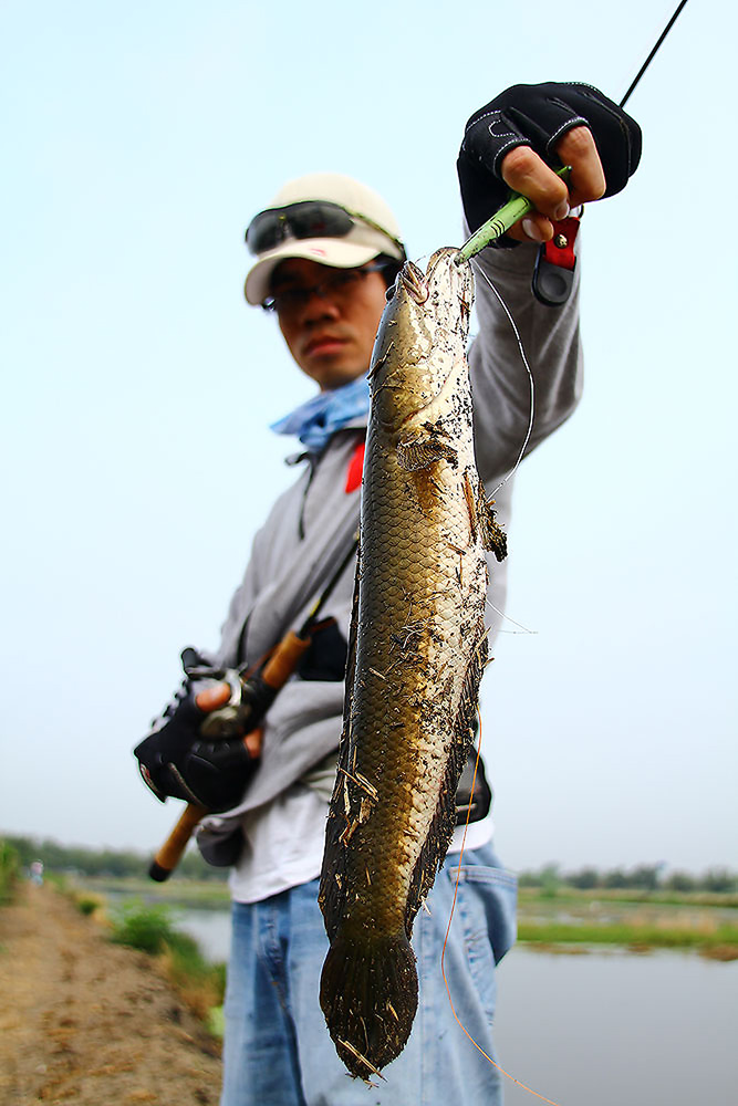 
 :grin: :grin:  น้าหยอยนี่ก้อ จัดตัวขึ้นมาเรื่อยๆ................ว่าแต่ตัวที่เท่าไรแล้วเนี่ยคร๊าบบ