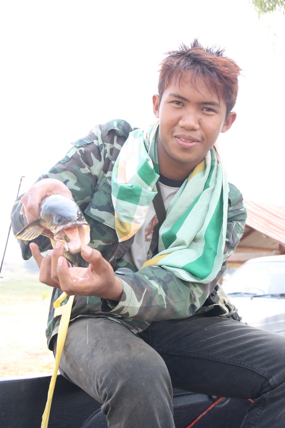 ......น้อง ใน อุบล  จัด มา 1 หน่วย แล้ว คับ

 :cheer: :cheer: :cheer: :cheer:
 :cheer: :cheer: :c