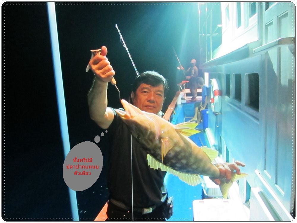 [q][i]อ้างถึง: เด็กสุ1000 posted: 04-03-2554, 20:11:21[/i]

 :cheer: :ch