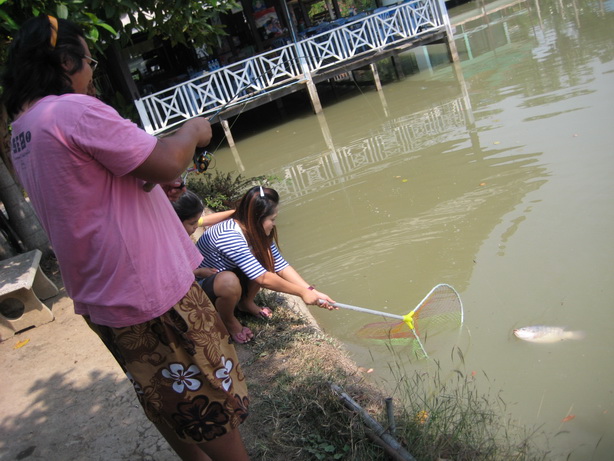 เย่อไปเย่อมา ปลาทำไม มันบวมๆ ตัวใหญ่ซะงั้น  :grin: :grin: :grin: