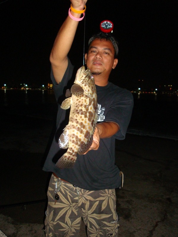 คันเบ็ดที่ลงเหยื่อหมึกเป็นไว้ ทำงา