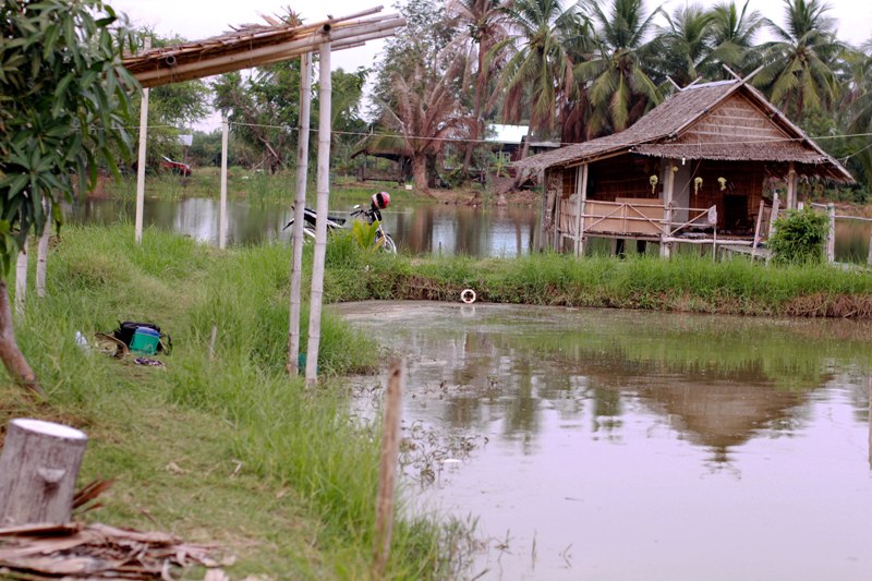 บรรยากาศบ่อ...และซุ้มที่เรานั่งวันนี้คร้า...แหล่มเลย... :grin: :grin: