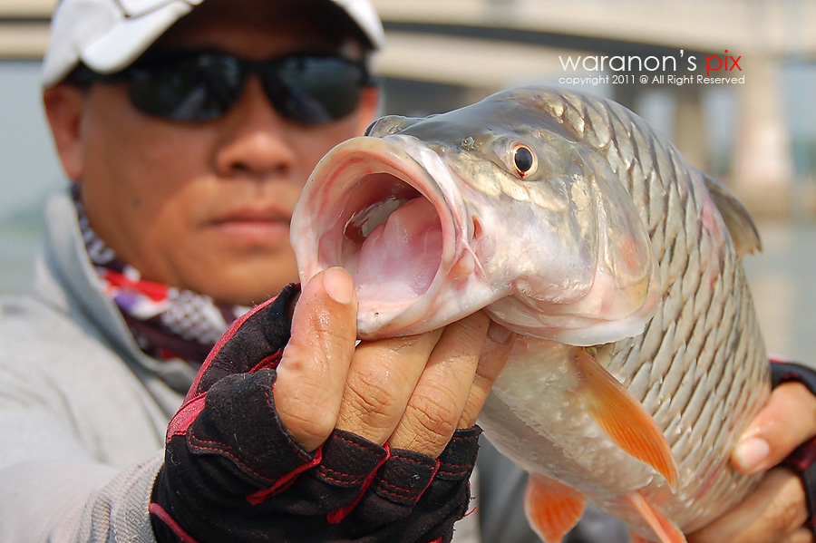 จ่ายตลาดรอบเช้าที่ "เจ้าพระยา"