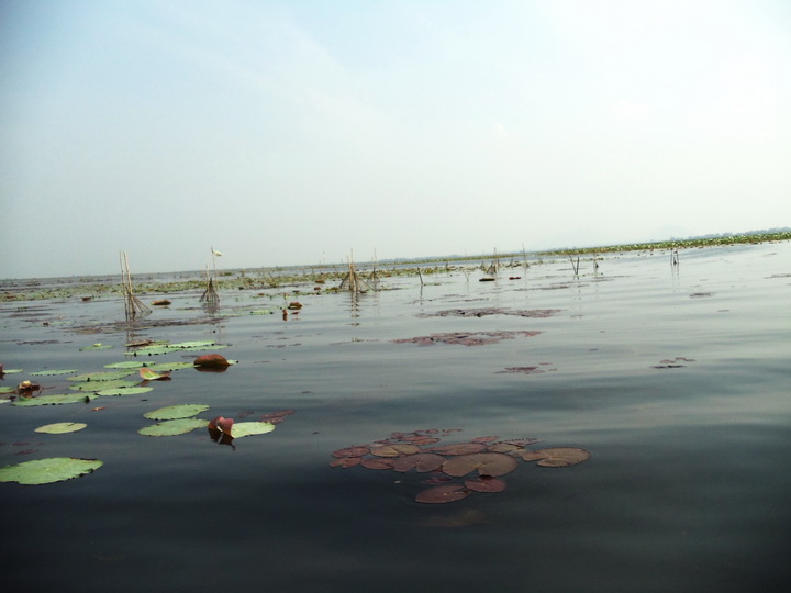 แต่ละหมายที่เรือวิ่งผ่าน.....สวยๆทั้งนั้นเลยล่ะครับ :love: :love: