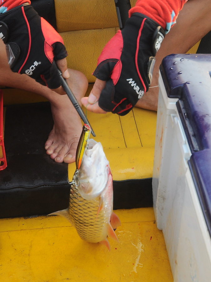 วันนี้มีแต่คนไม่รักเพื่อนรักฝูงลงเรือมาด้วย ดูดิหนีเอาตัวรอดไปหมดเลย ทิ้งให้โม่งอยุ่เหงาแค่คนเดียวอ่