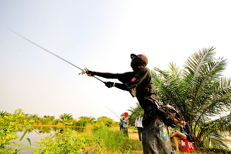 King Of FroG 3 Snake head Game Fish  บรรยากาศมันส์ๆ ของคนวัยมันส์